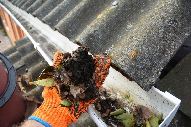Gutter Leaf Clearing in Monmouth County, NJ