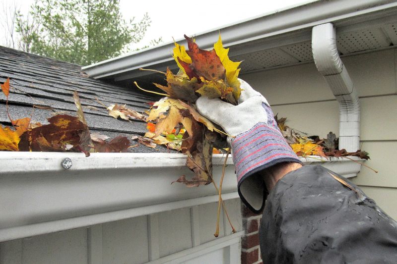 Gutter Leaves Removal in Morris County, NJ