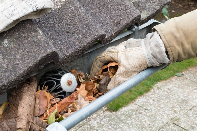 Gutter Pine Needle Removal in Monmouth County, NJ