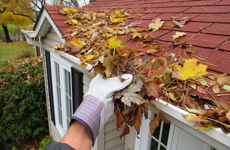 Gutter Pine Needle Removal in Morris County, NJ