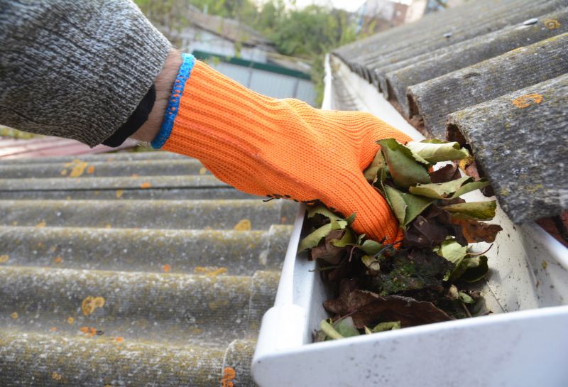 Gutter Pine Needle Removal in Fredericksburg, VA