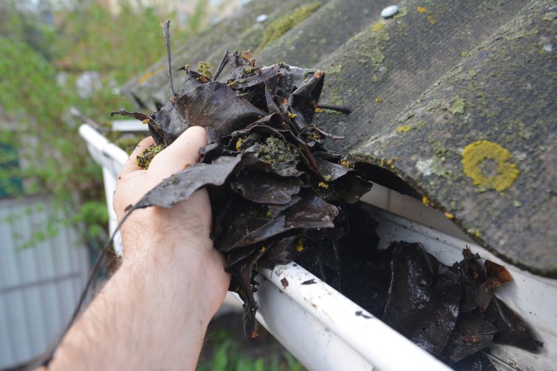 Rain Gutter Clearing in Long Island, NY